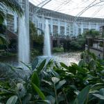 OTRA2014_0883 (August 29, 2014)